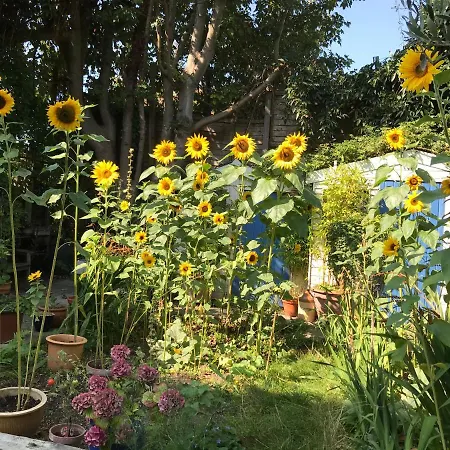 Broadstairs House Boutique B&B By The Sea-2