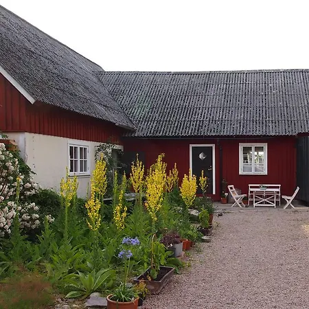 Augustas Bed & Breakfast-3