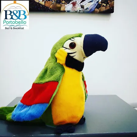 B&B Portobello-2