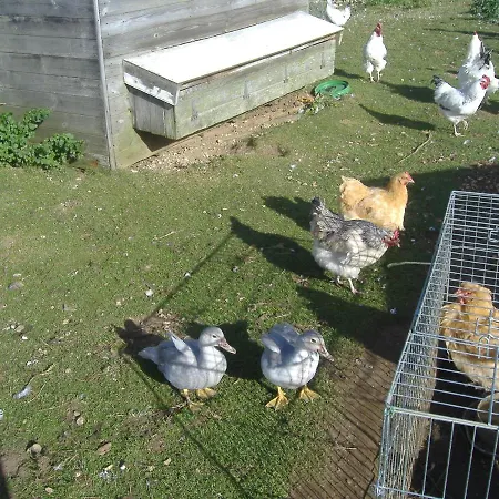 South Moor Farm-2