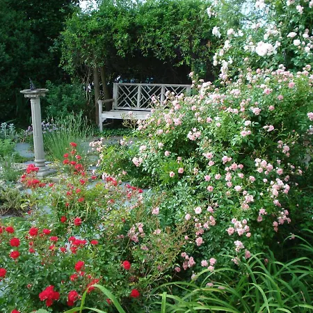 Newport House Bed & Breakfast-2