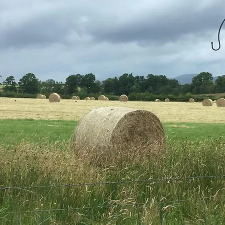 Ardoch Cottage Bed & Breakfast-2