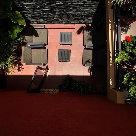 The Red Tree House-3
