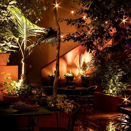 The Red Tree House-3