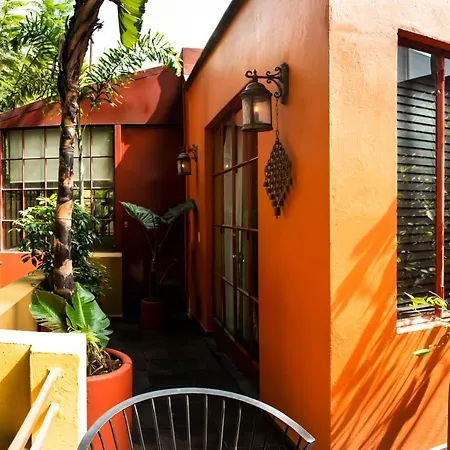 The Red Tree House-2