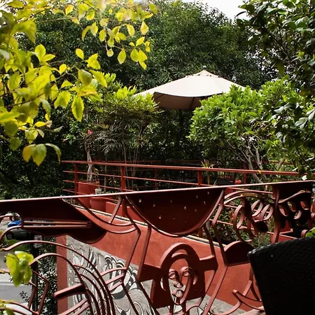 The Red Tree House-2
