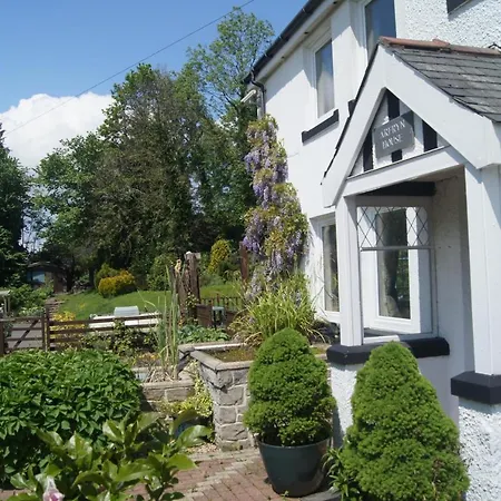 Arfryn House Bed And Breakfast-2