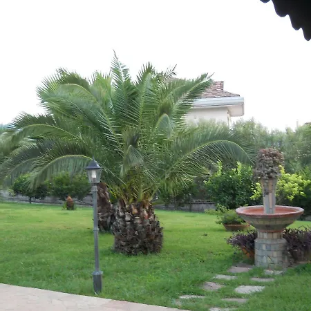 Oasi Verde-2