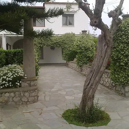 Il Merlo-3