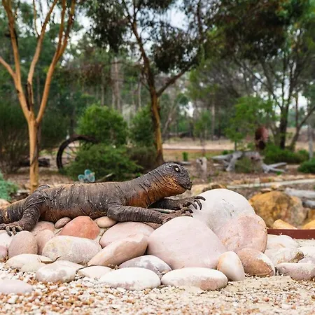 Kojonup Bed And Breakfast-2