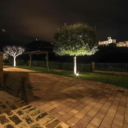 La Casa Tra Gli Ulivi-2