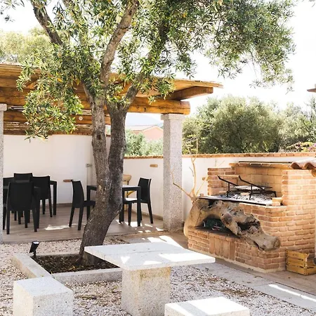 B&B Gonare-3