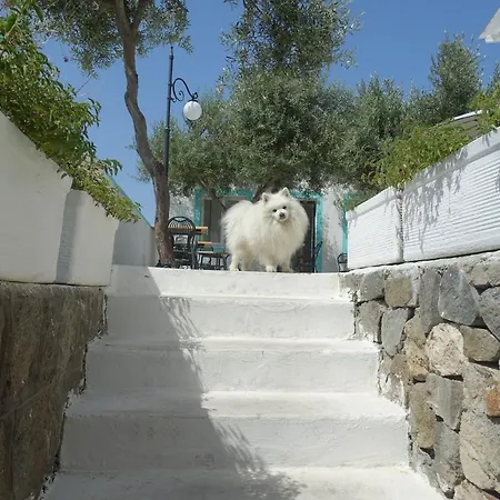 Il Capriccio Guesthouse-3