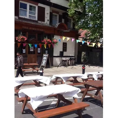 The Forester Ealing-3