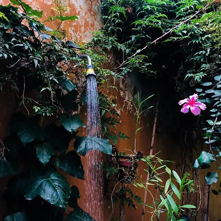 La Verdosa-2