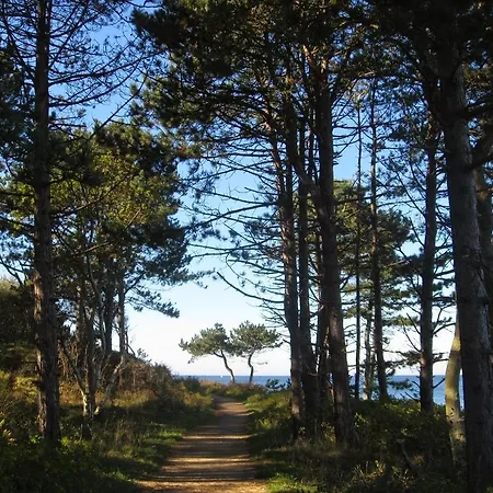 Hornbaek Bed & Breakfast-3