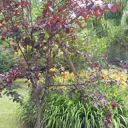 Armonía y Naturaleza B&B-2