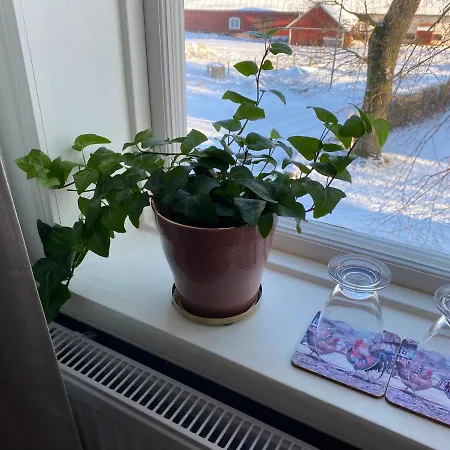 Bjälbo Gästhus B&B-2
