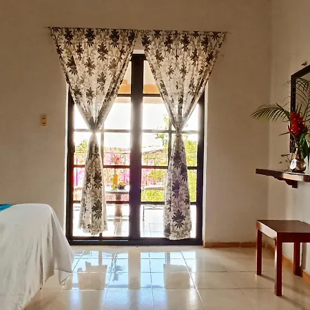 Casa De Los Pajaros - B&B-2