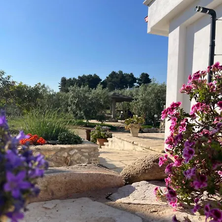B&B Le Cicale-3