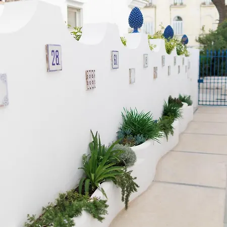 La Pigna Blu-3