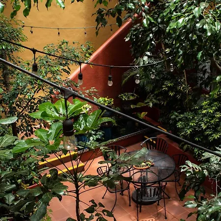 The Red Tree House-2