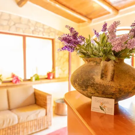 B&B Puerto Seguro-2
