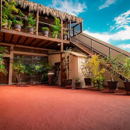 Residence Las Flores-2