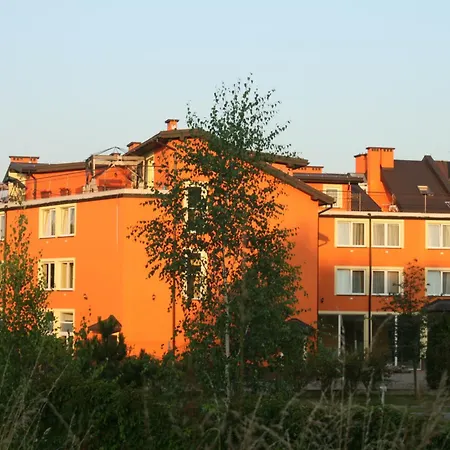 Daisy Superior-2