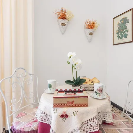 Pintadera B&B-2