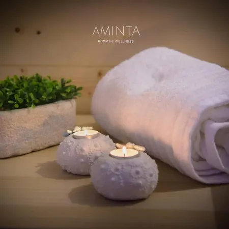 Aminta - Rooms & Wellness-2