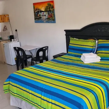 Viks Bed And Breakfast-3
