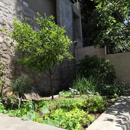 Guest House Blaise-3