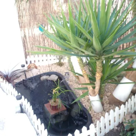 Primavera Bed And Breakfast.-2