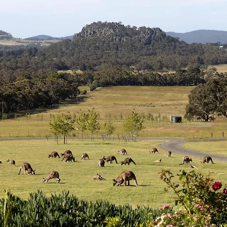 Hanging Rock Views-2