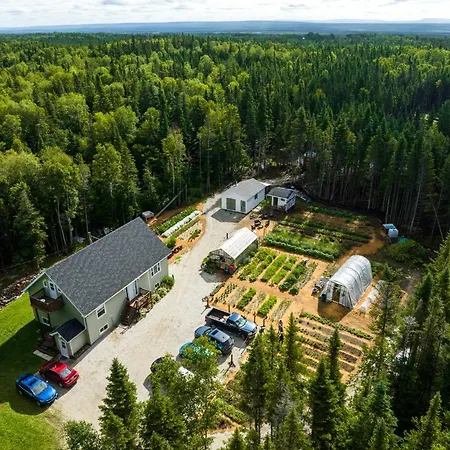 Upper Humber Settlement A Farmstay B&B-3