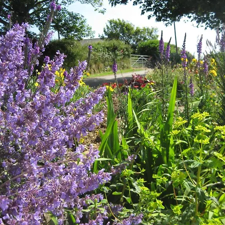 Tregaddra Farm B&B-2