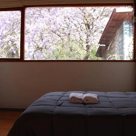 Casa Frida Coyoacan-3
