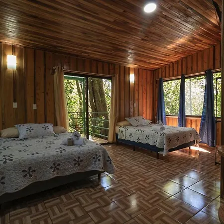 The Green Tree Lodge-2
