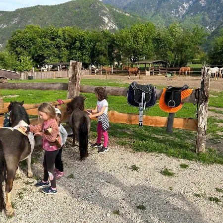 Agritur Airone Bed & Camping-3
