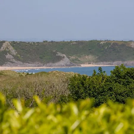 Ty Seren-3