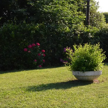 Maison Brinati Bed And Breakfast-3