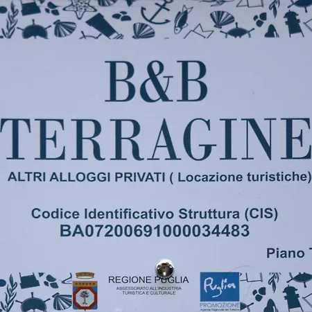 B&B Terragine-2