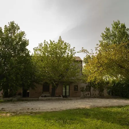Tenuta I Gelsi-3