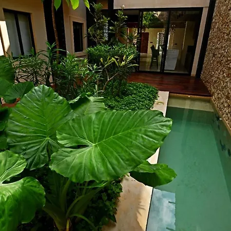 Casa Boutique Pashá-2