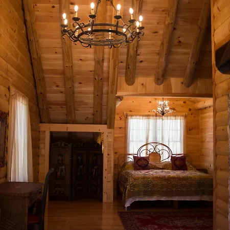 Log Country Inn Bed And Breakfast Of Ithaca-3