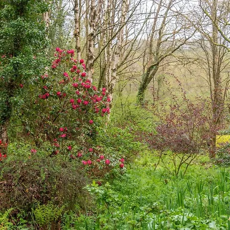 Nutsford House Bed & Breakfast-3