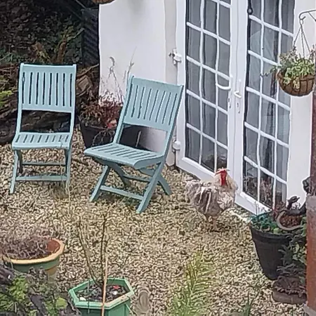 Jesmond House B&B Room 4-2