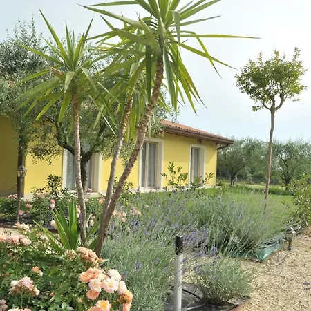 Paradiso degli Ulivi B&B-2
