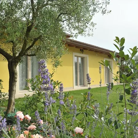 Paradiso degli Ulivi B&B-3